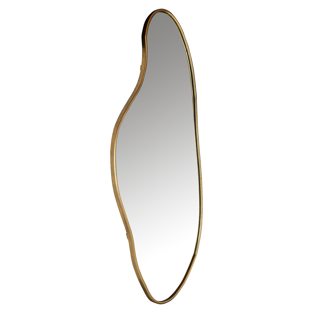 Spiegel Alton (Geborsteld Goud)