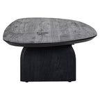Salontafel Hudson (Zwart)