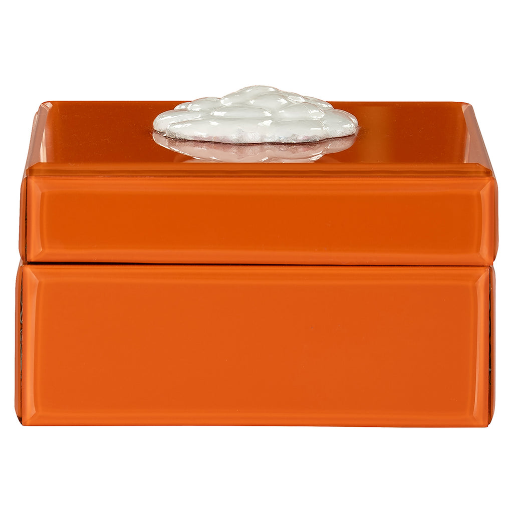 Storage Box Lunia