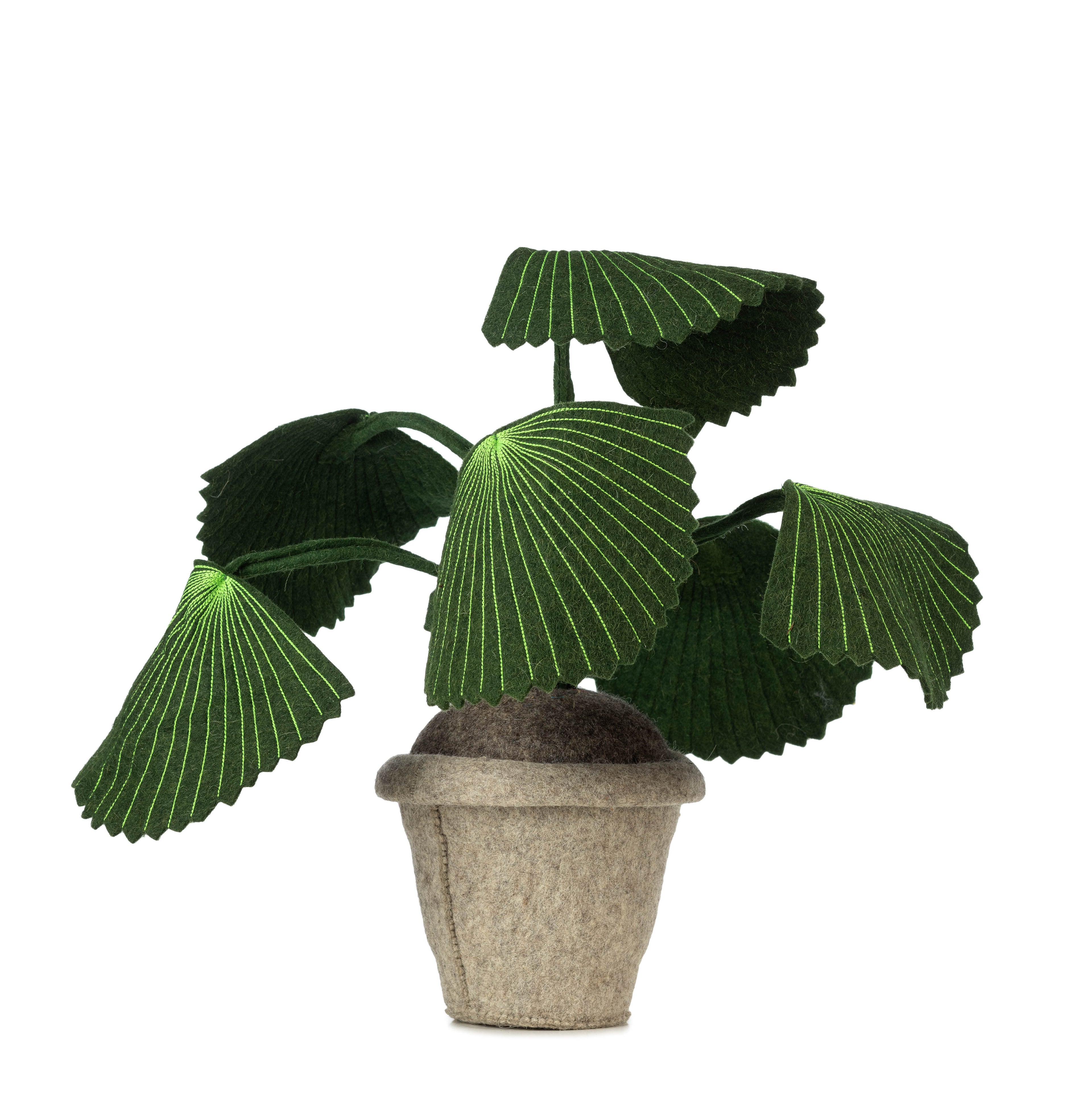 Plant Pebbe, felt decoration plant