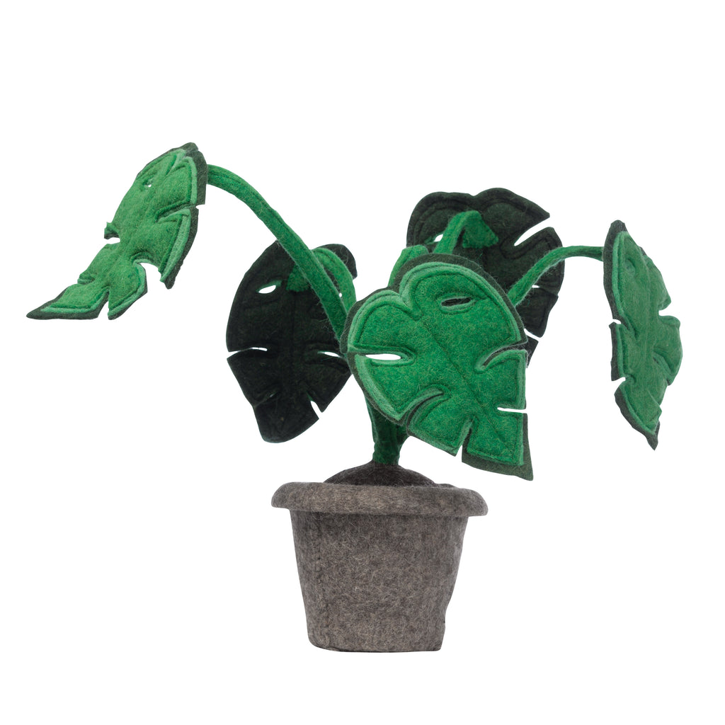 Plant monstera, felt decoration plant