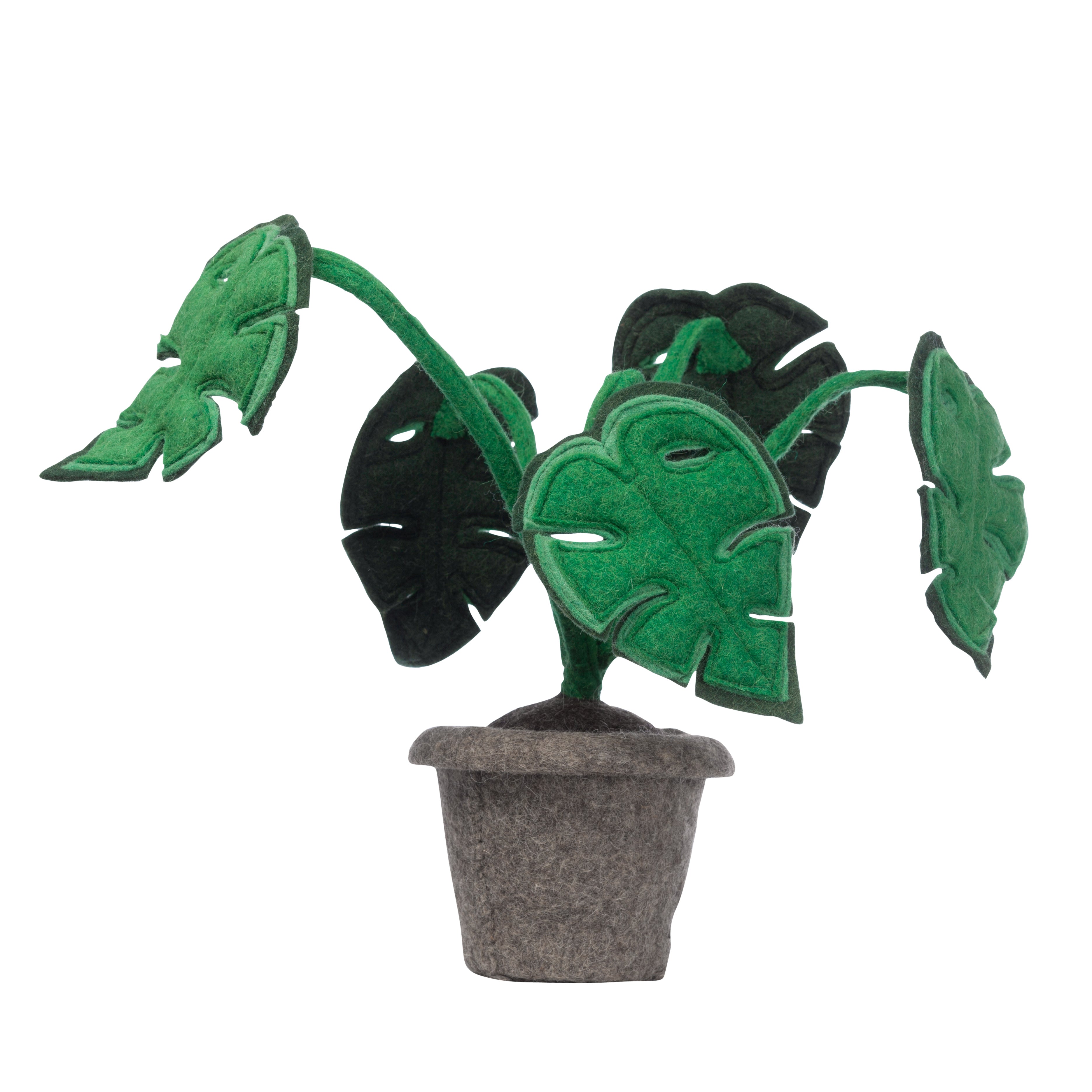 Plant monstera, felt decoration plant
