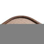 Console Willox bruin