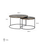 Salontafel Tulum set van 2 (Geborsteld Goud)