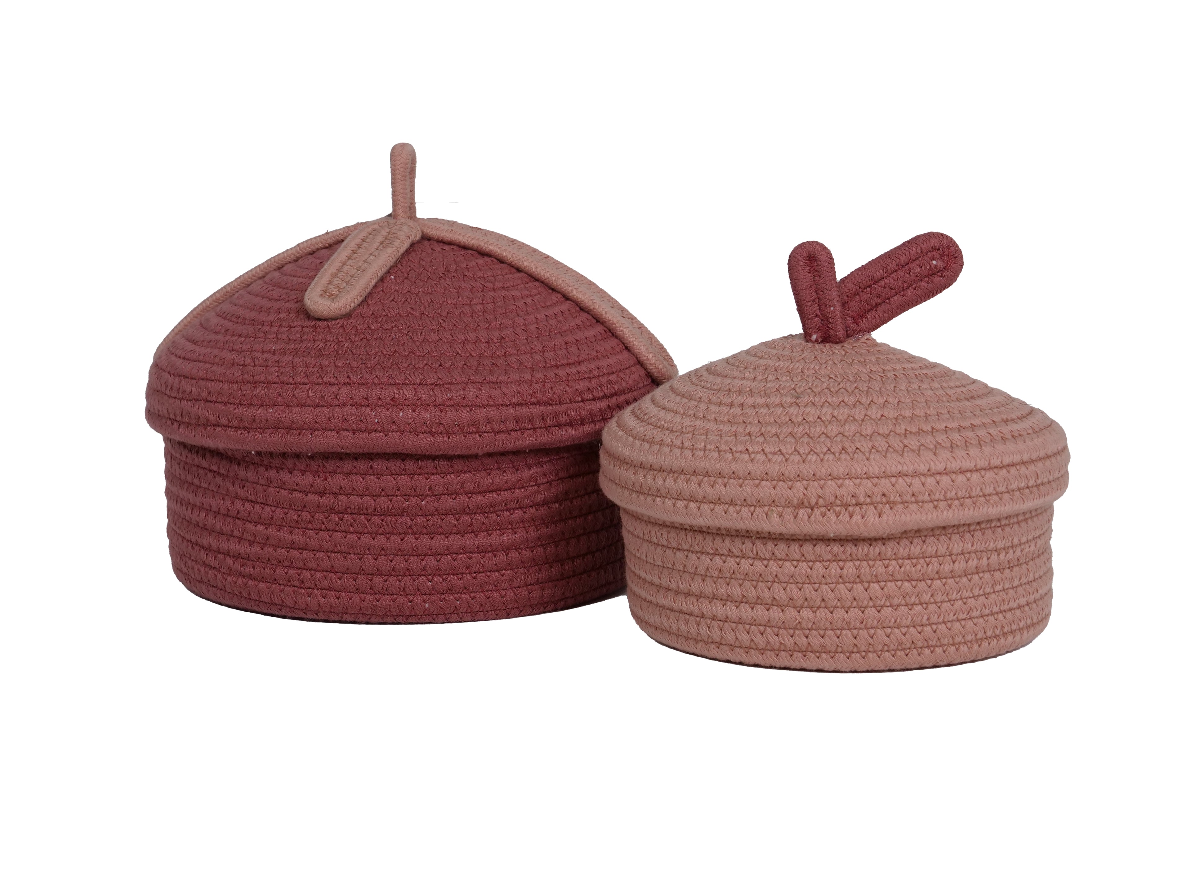Bowie, pink baskets