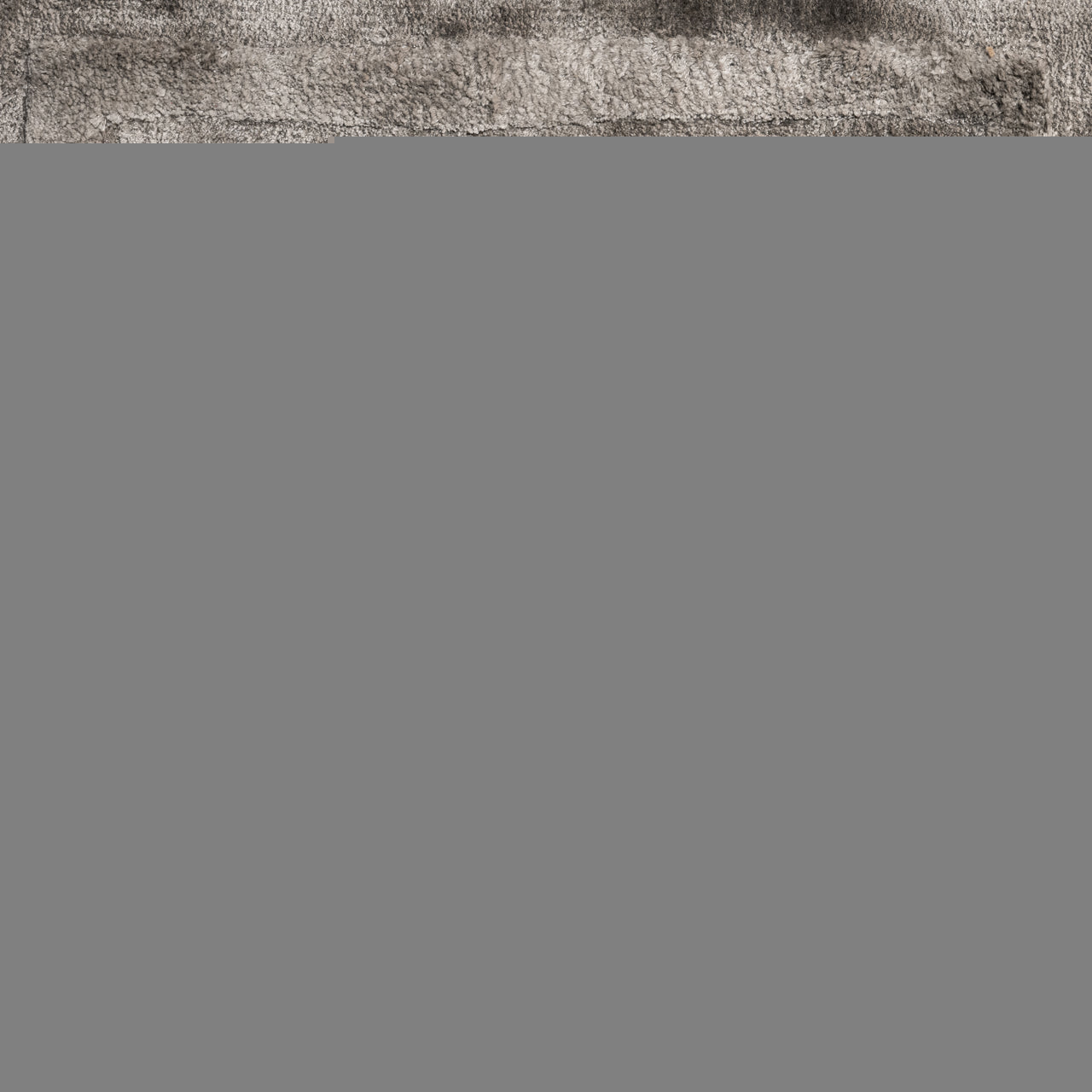 Tapijt Iggy antraciet 300x400