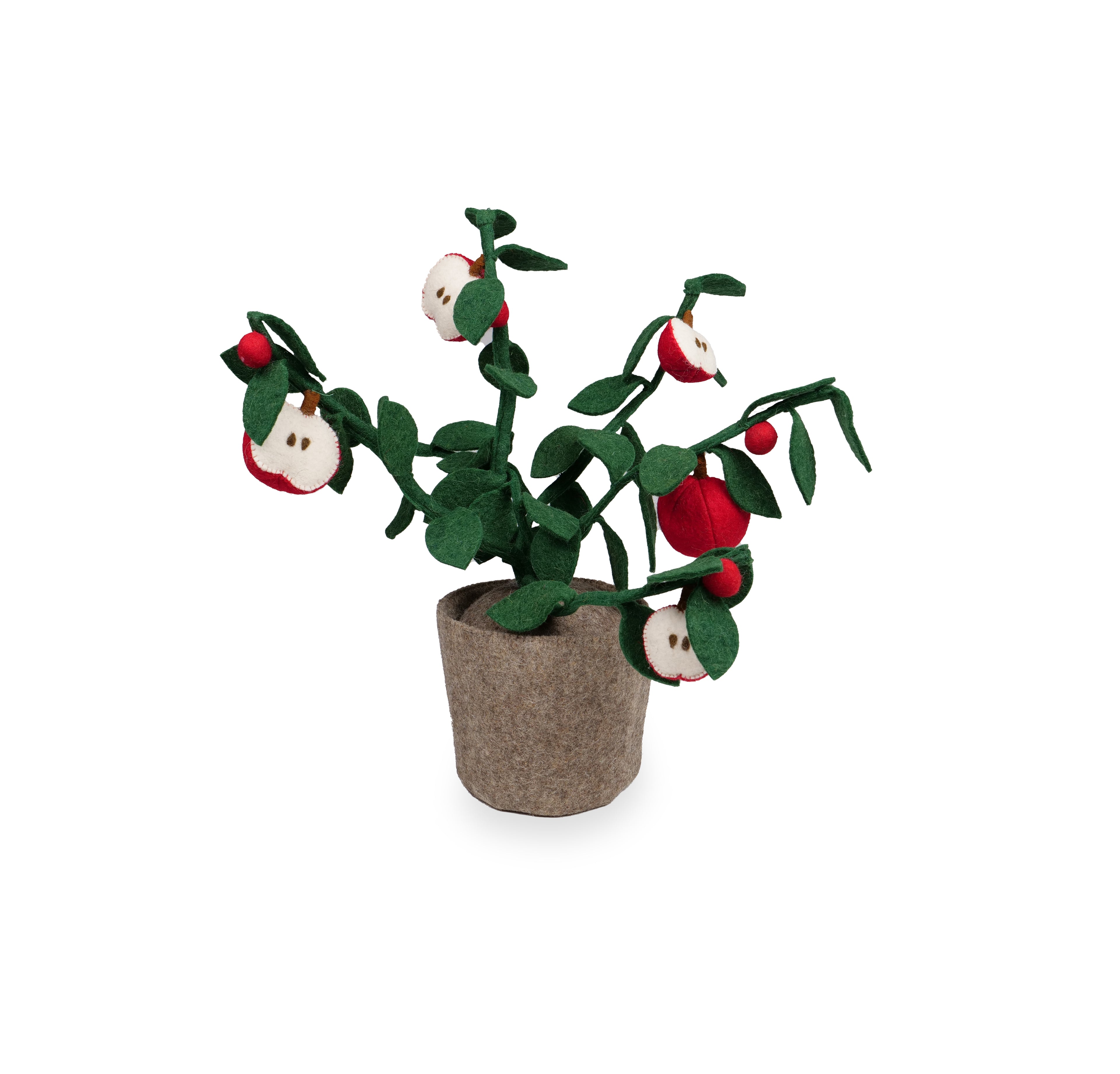 Plantez la pomme