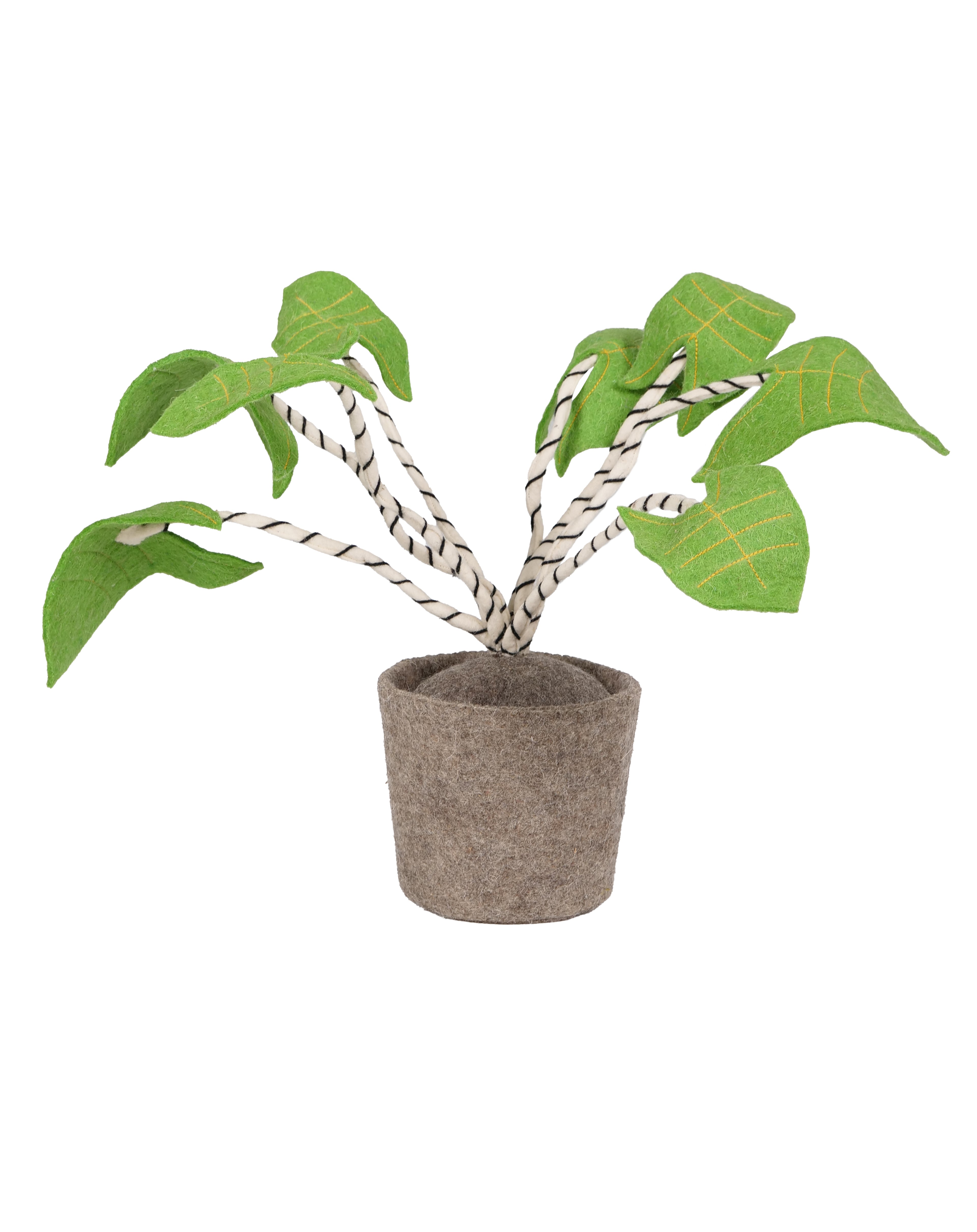 Plant zebrina, felt decoration plant