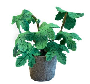 Planta de Ficus Carica